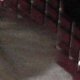 images/th_cats2002110806.jpg