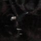 images/th_cats2002111103.jpg
