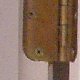 images/th_cats2005022502.jpg